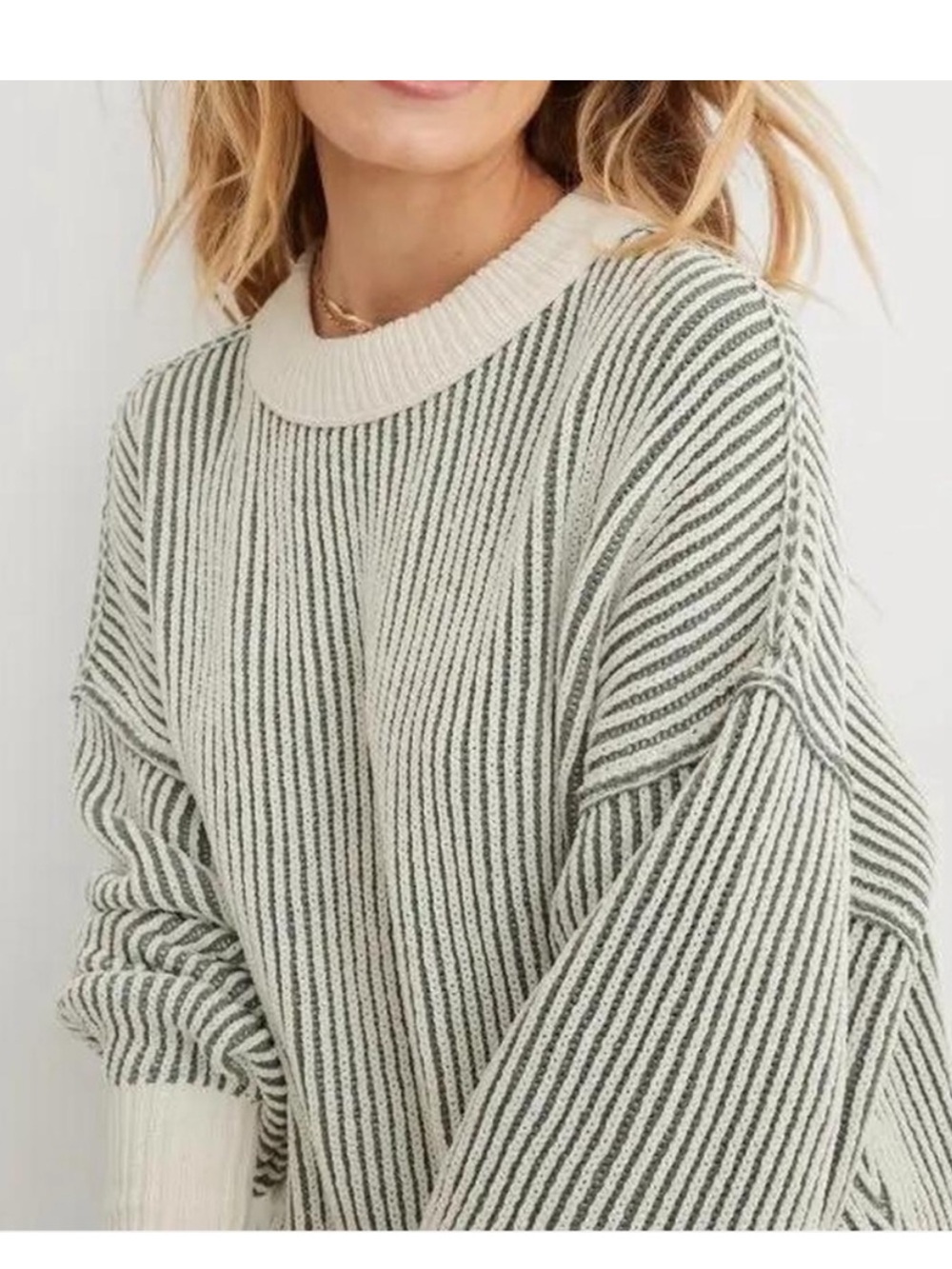 aerie chenille crewneck
